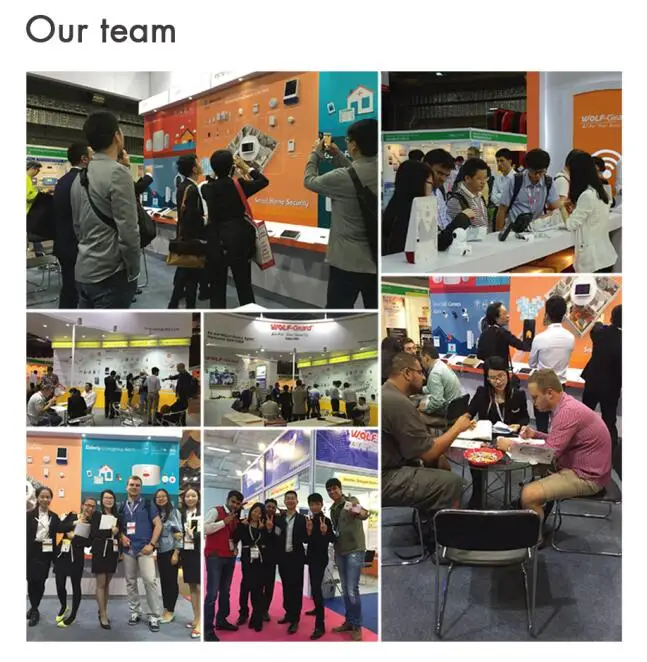 Our Team-1.jpg