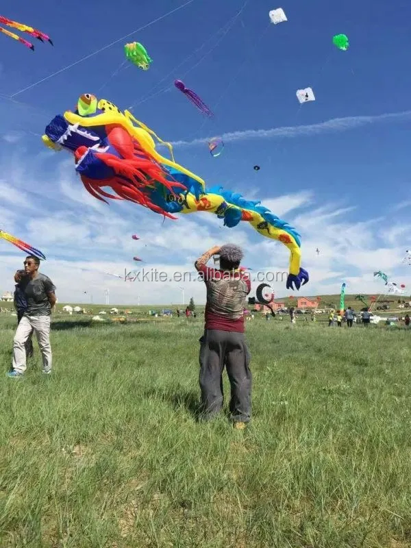 Giant flying inflatable dragon kite from chinese kite factory, View