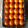 2018 New Crop Fresh mandarin orange/tangerine for wholesale