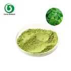 Supply pure natural Organic Moringa Powder,Moringa Extract