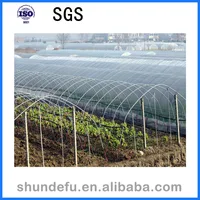 Suitable Temperature Agricultural Multi Span Greenhouse