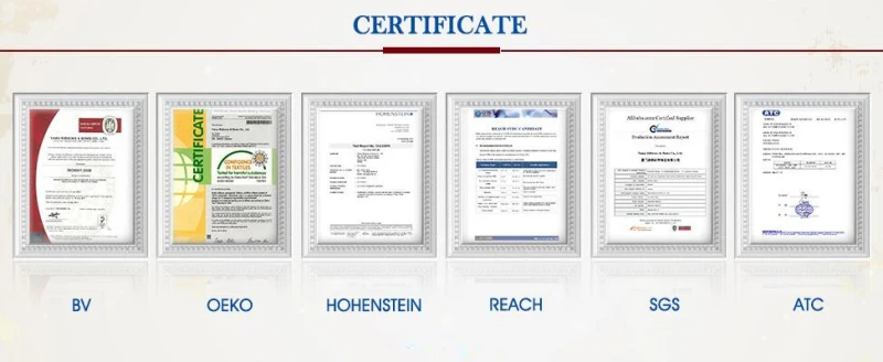 certification1.jpg