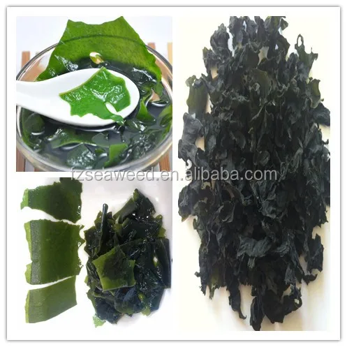 韩国/日本食品的干 wakame (海芥末) 海藻