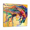 Abstract Colourful Hair Girl Home Goods Wall Decor Canvas Painting Printing Fabric Poster Picture