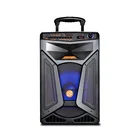 Perfect Sound Quality 12 inch Portable Trolley Speaker Audio Equipment Rechargeable Speaker with Wireless Speaker