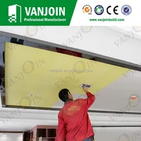 Construction Real Estate Decorative Ceilling Tiles