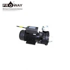 New Electrical Products Hydromassage Whirlpool Hot Tub 2 hp Electric Water Pump