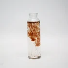 liquid Amino humic acid zinc enhance plant respiration
