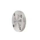 ANSI B16.5 Carbon Steel Forged Blind Flange