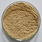 100% Green Coffee Extract Manufacturer Food Additives Nature 100% Green Coffee Bean Extract