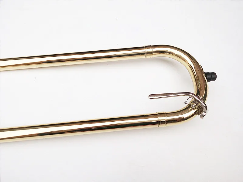 3039785442_1534920289