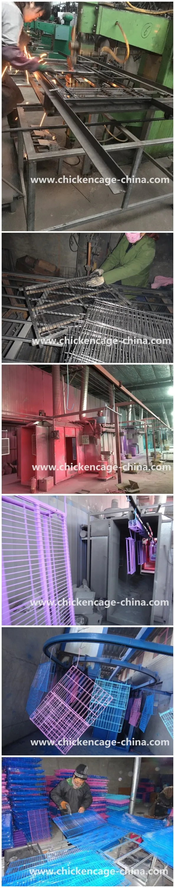 2017 Trade Assurance Hot Sale Colorful Dog Cage For Sale (Direct Factory, Low Price, Fast Delivery)