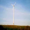 10kw wind turbine price/ residential wind power price/ 10000 watt wind generator for farm
