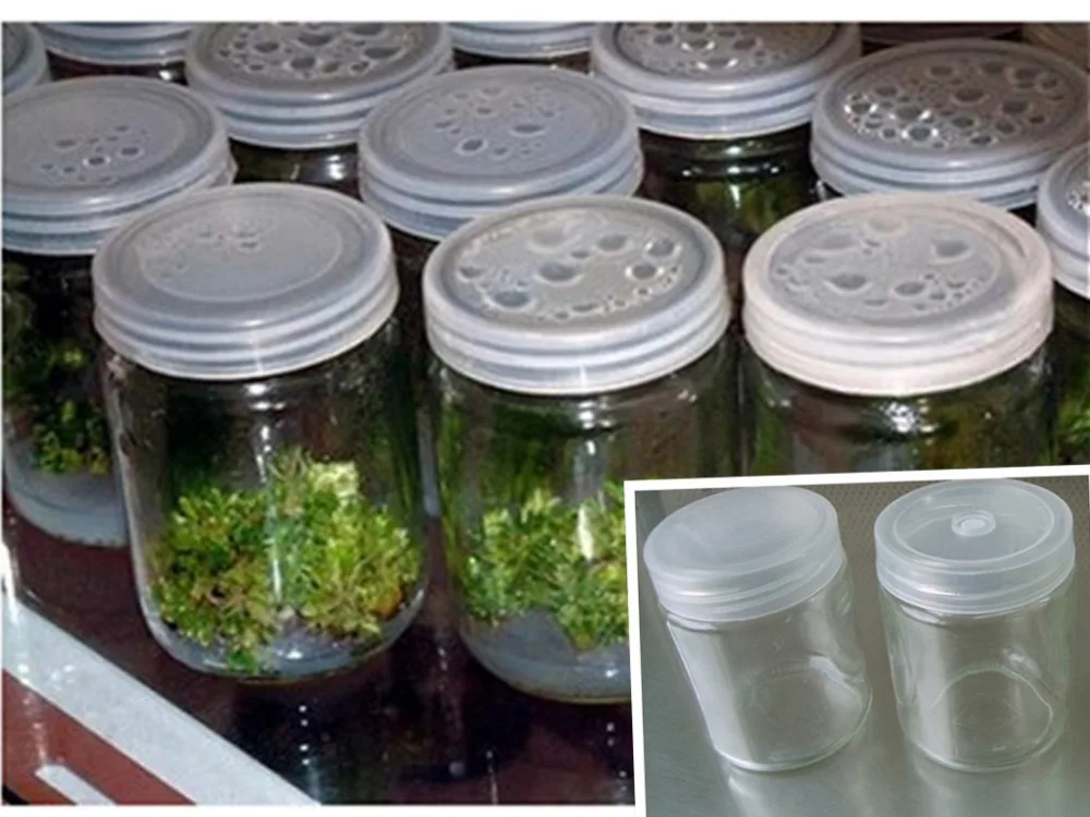 240ml 350ml 480ml Tissue Culture Glass Bottle With Plastic Lid Glass