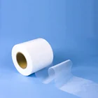 Nylon Mesh Filters for Tea Bags for Tea Bag without String and Tag