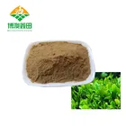 free sample green tea extract soft serve ice cream powder