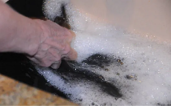 10580256_1433424446946156_6602759899826153828_n