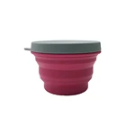 FDA LFGB silicone pet accessories bowl collapsible dog bowl eco friendly pet bowl