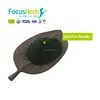 /product-detail/focusherb-organic-spirulina-powder-60758801528.html
