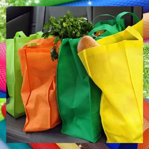 New Design Professional Manufacturer Promotional Laminated PP Non Woven Bag