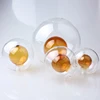 /product-detail/double-layer-g9-screw-pyrex-glass-ball-lamp-shade-60811253319.html