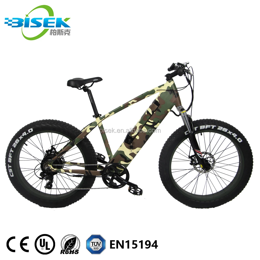 hi bike electric 2019