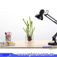 2016 Hot Selling Mini Flower Garden