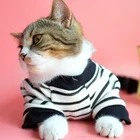 Custom Fashionable pet cat clothing knitting patterns cat clothes T Shirt Designer Cat hoodie