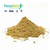 Free Sample Beer Yeast Powder For Aquaculture