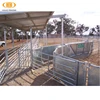hot dipped galvanized tubes cheap sheep fence
