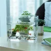 /product-detail/high-transparent-small-acrylic-aquarium-fish-tank-60390015880.html