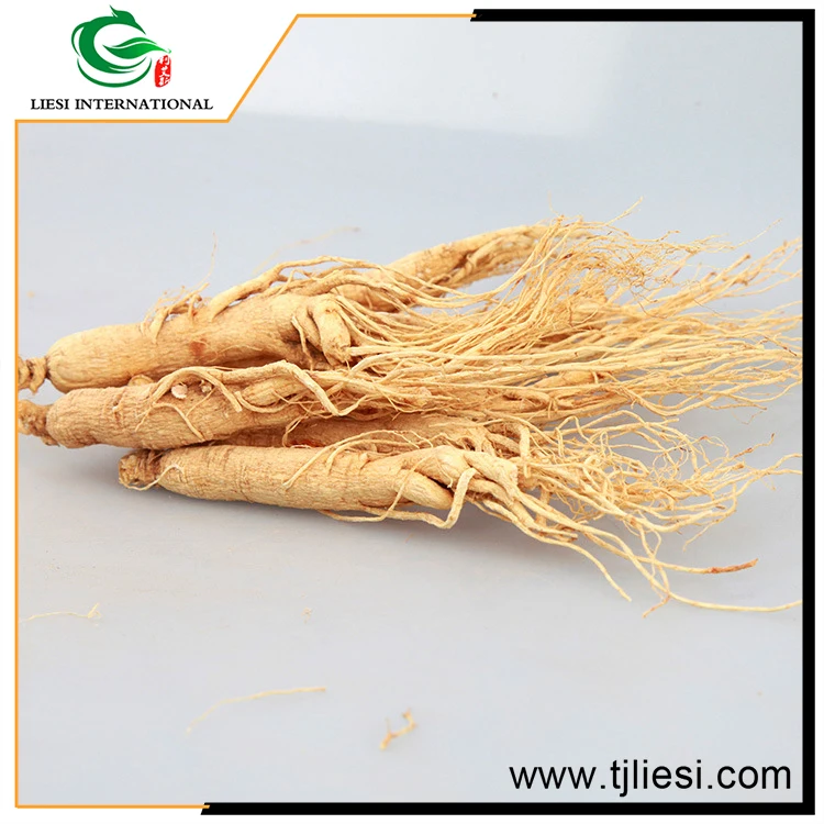 ginseng root is asian What