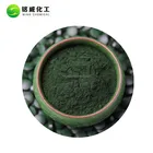 spirulina powder/spirulina protein /spirulina nutrition health benefits