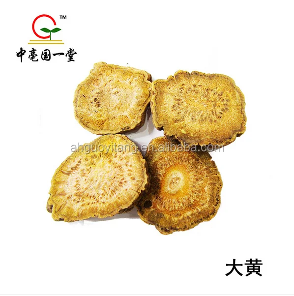 gmp factory low price high quality rheum officinale / rhubarb