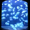 PG Fish Tank Acrylic Aquarium led Plant
