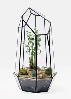 Five double diamond large geometric glass greenhouse plant micro landscape flowerpot container factory direct OEM