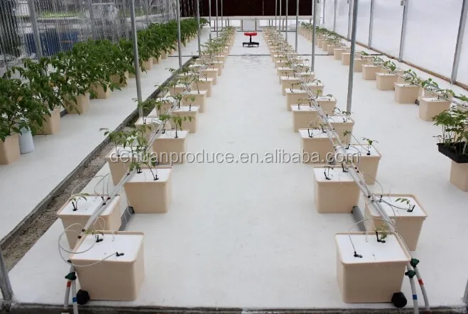Commercial greenhouse hydroponic growing systems dutch ...