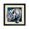 5D Pictures Lenticular Image / Poster With Black PS Frame
