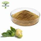100% Natural Fresh Fruit Noni Extract Powder