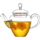 China OEM Clear Pyrex Travel Teahouse Hotel Morden Tea Pot Glass Tea Set