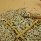 High Quality Sunflower Seeds Kernel For Sale