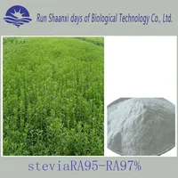 High Quality And Natural Stevia White