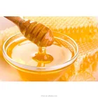Excellent quality Cheapest Food grade organic honey flavor