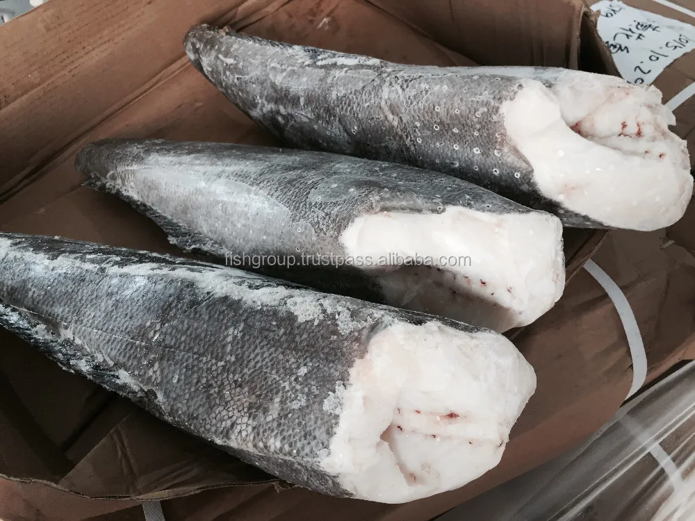 chilean seabass hg or patagonian toothfish