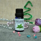 Spearmint Oil Bulk 100% Pure Spearmint Oil Price