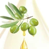 /product-detail/cosmetics-jojoba-oil-100-pure-and-natural-cas-61789-91-1-62214093694.html