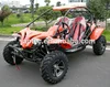 EEC 500cc 4x4 Dune Buggy FOR 2 Persons