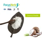 Free Sample Spray Dried SD Coconut Milk Powder