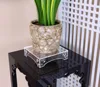 Clear Lucite Acrylic flower Stand Perspex plants floral Pot Holder