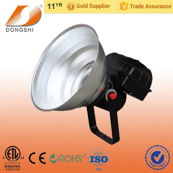 DS-110.jpg